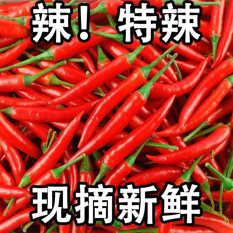 头茬新鲜小米辣椒现摘特辣朝天椒辣椒炒菜尖椒批发薄皮特辣100g起