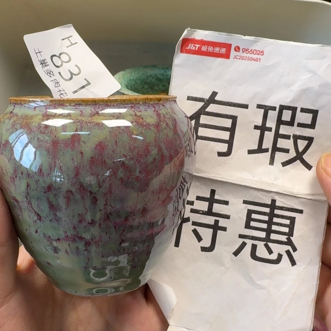 陶瓷艺术设计学与制作