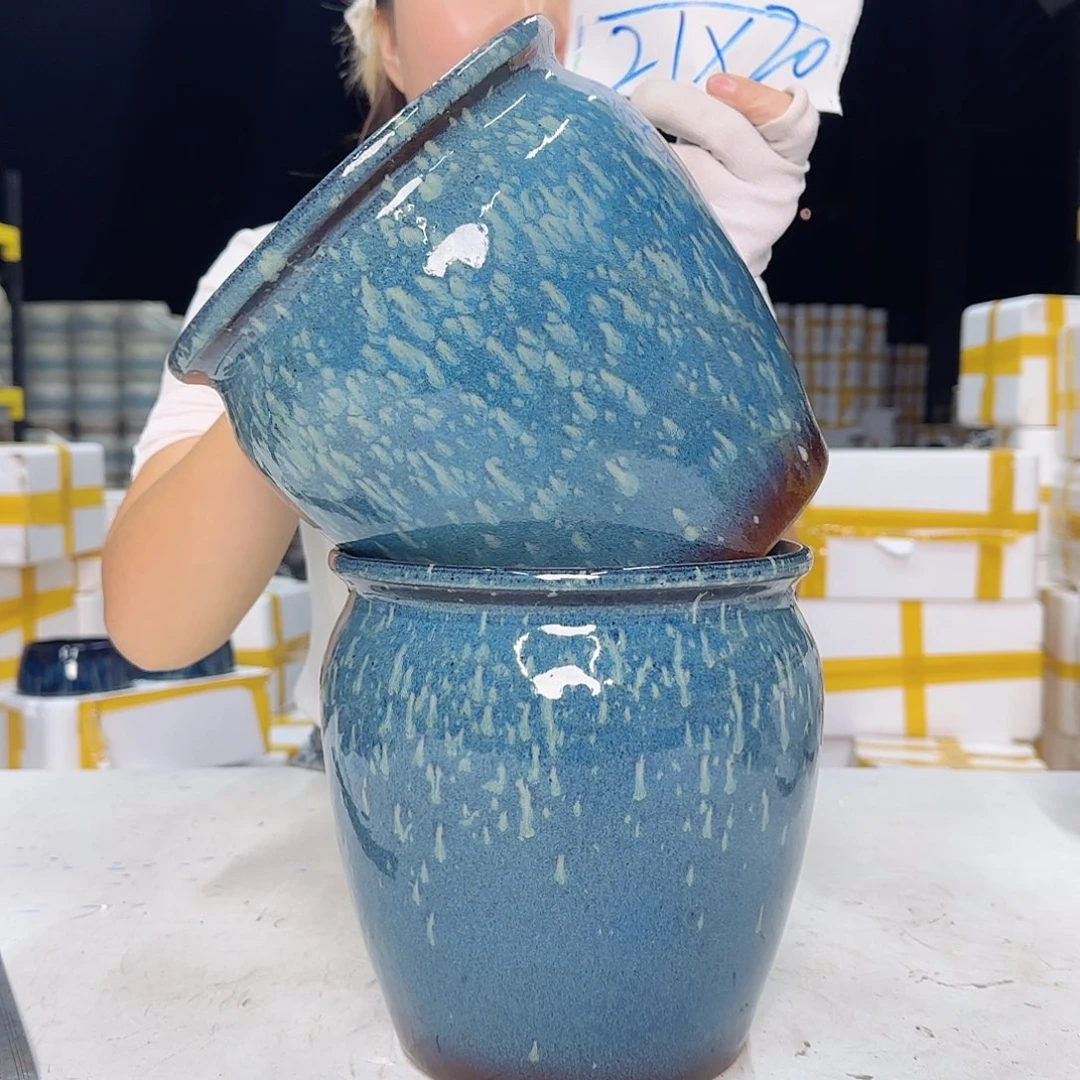 云上花盆直播1109-338