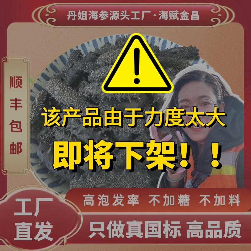 【福利补贴国标干海参】海赋金昌干参130~150头/斤品质保证500g一斤