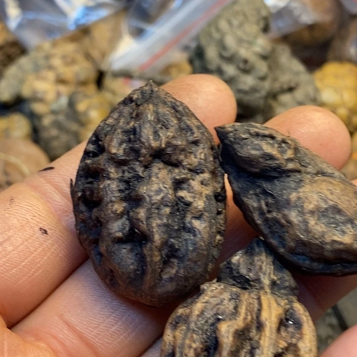 吊坠桃核娜姐我真的42