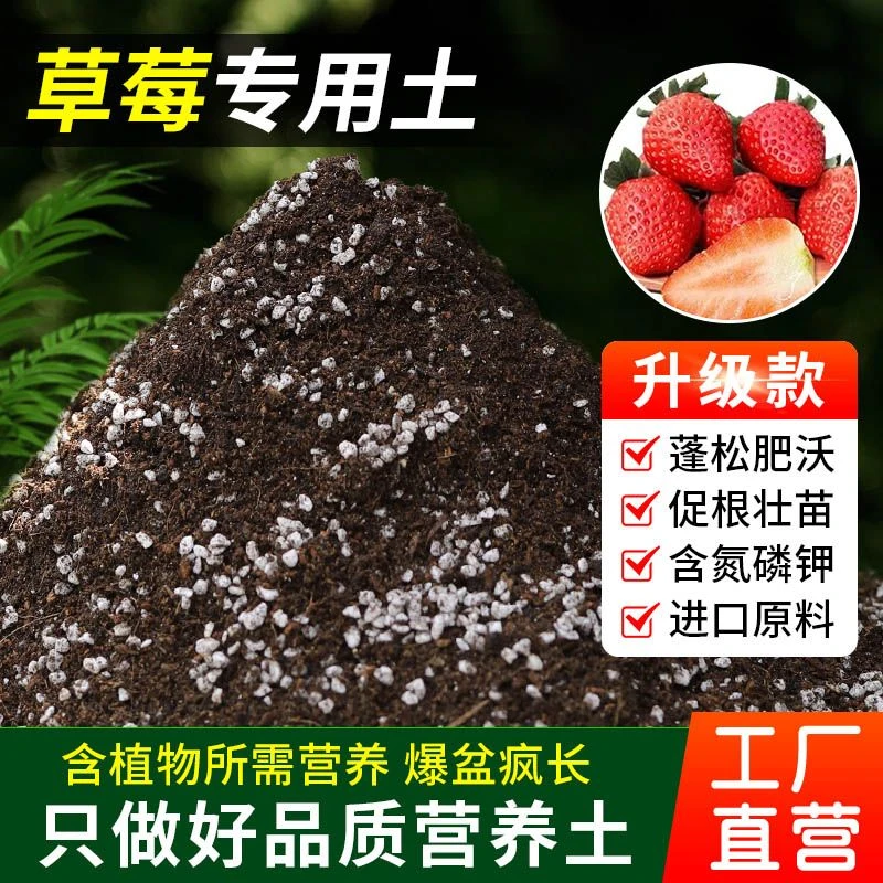 【草莓专用土】疏松透气盆栽花卉适用室内种植土植物营养土肥料庭院