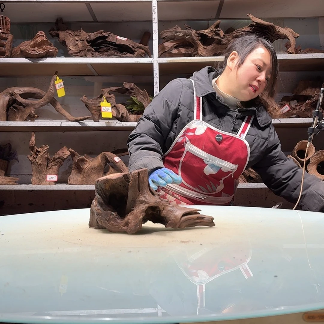 倍诸沉木不包损必褪色m****o0868