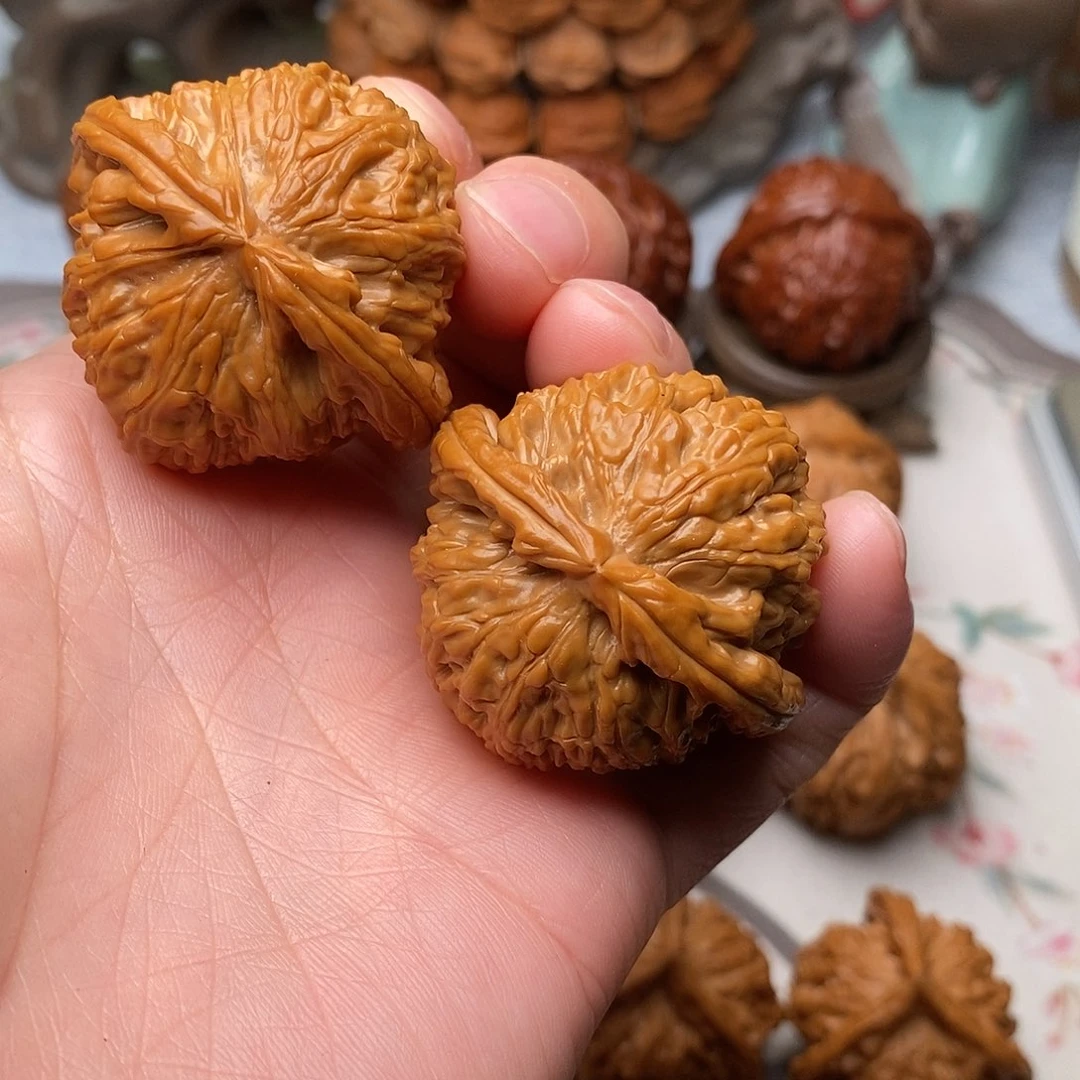 随***风文玩核桃把件白狮子