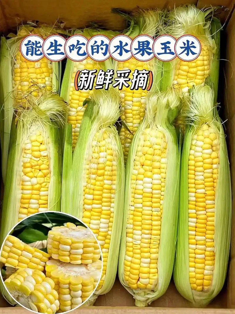 可以生吃煮吃蒸吃的水果玉米