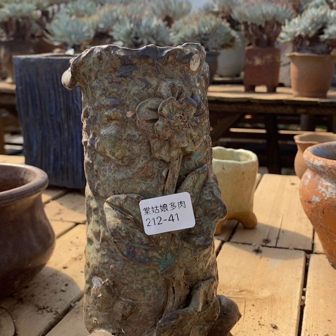 这*大41号多肉盆一个呀