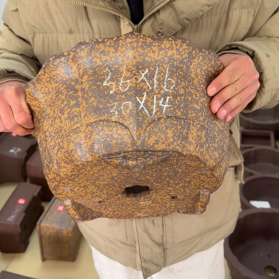 紫砂花盆呜呜呜呜