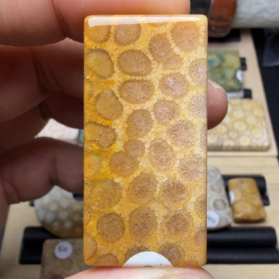 硅化玉未镶嵌纯天然色有机玉石保真色