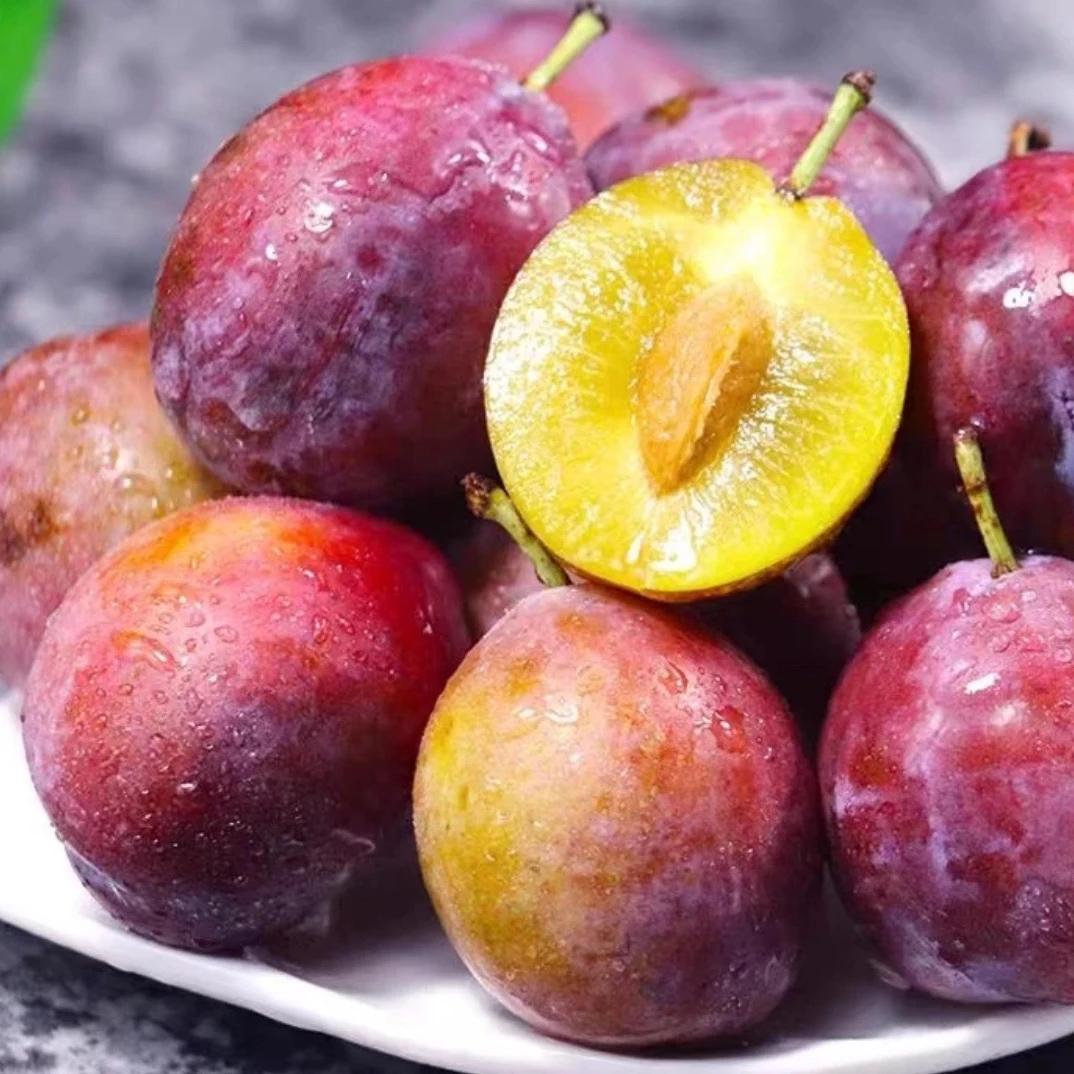 进口海运智利西梅 2JD 2斤装 清甜可口 中通快递