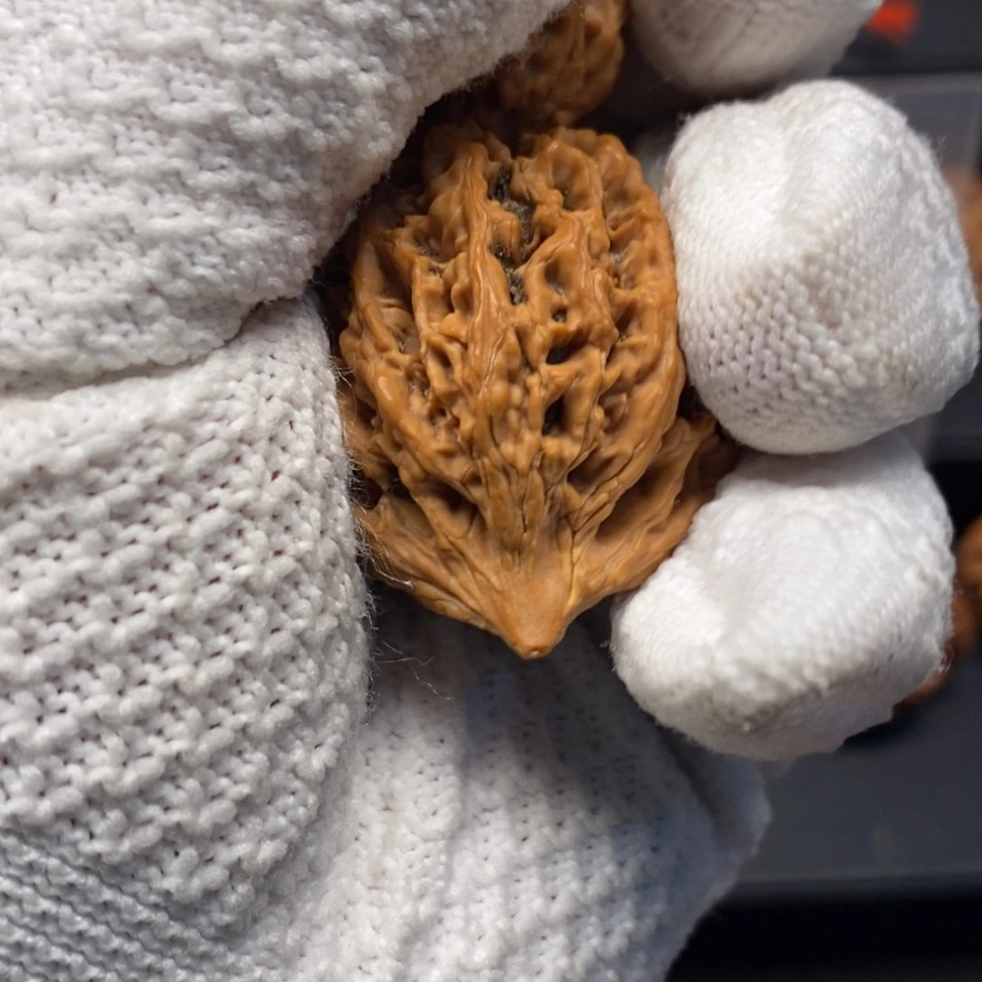 亮***亮核桃手串/手链秦岭森林中发现过几株