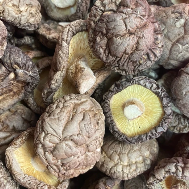 2025年春节年货特级厚肉香菇东菇送礼佳品干货干香菇干蘑菇小香菇