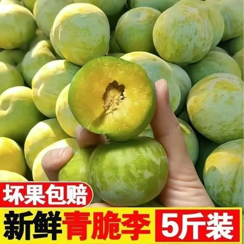正宗脱骨青脆李新鲜时令水果清甜爽口多汁鲜嫩应季佳品