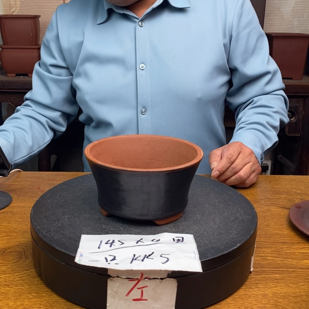 红陶货号一只KK5