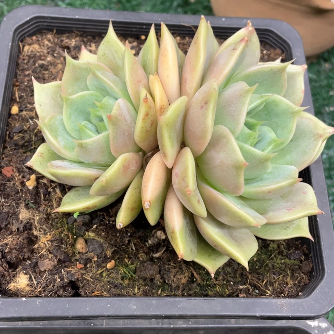 贝加尔湖锦一物一拍28包邮非偏远