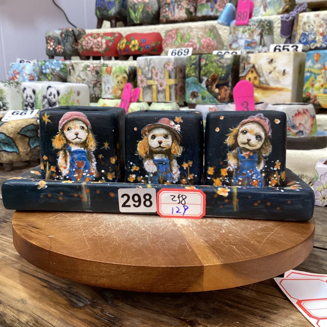 298号手绘多肉套盆半价