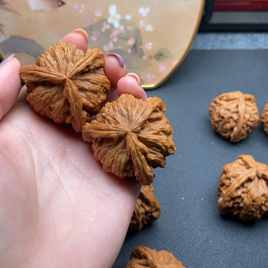 凡****4白狮子11111111111