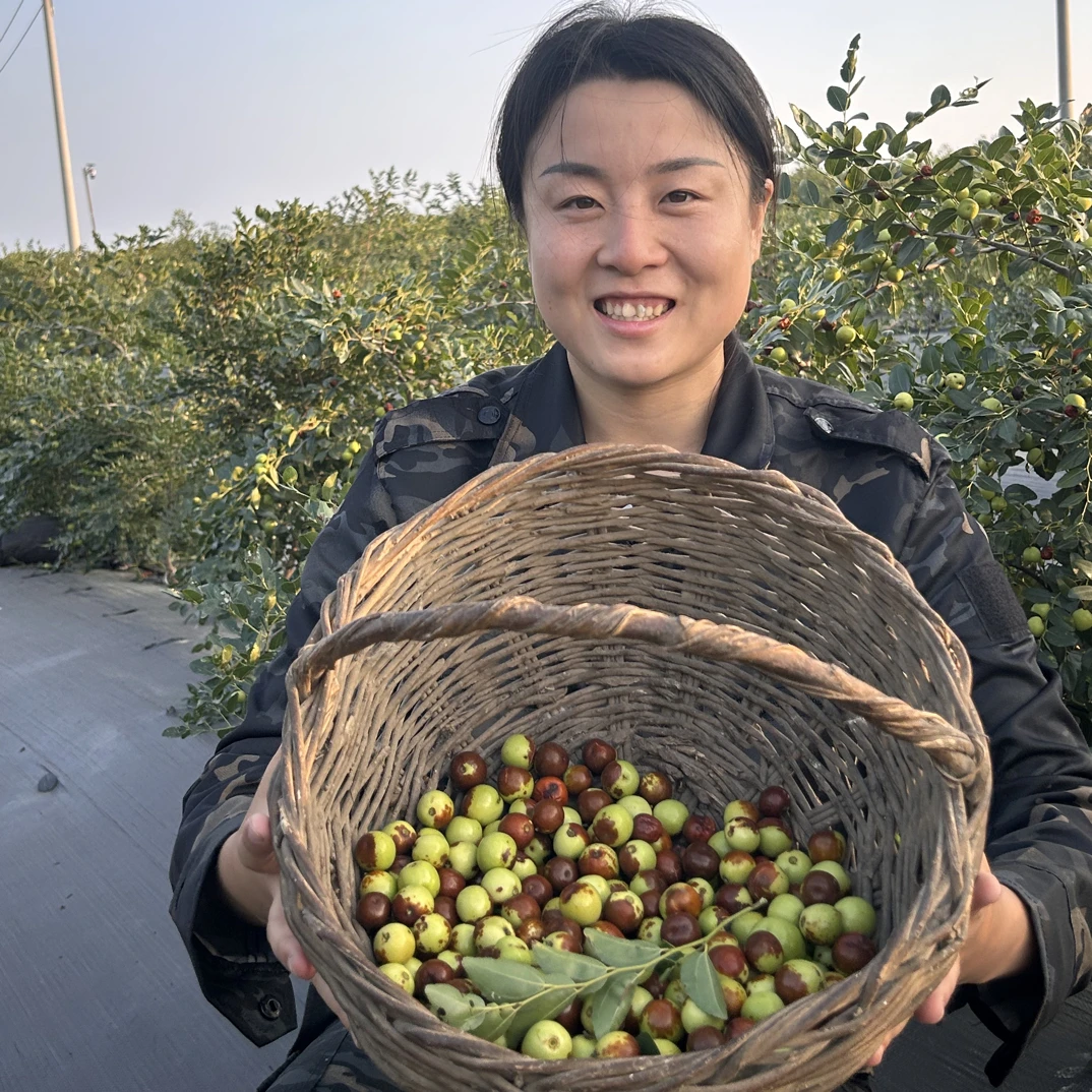 正宗辽宁彰武食用大酸枣补充维生素C酸甜可口现摘解馋手摘特产