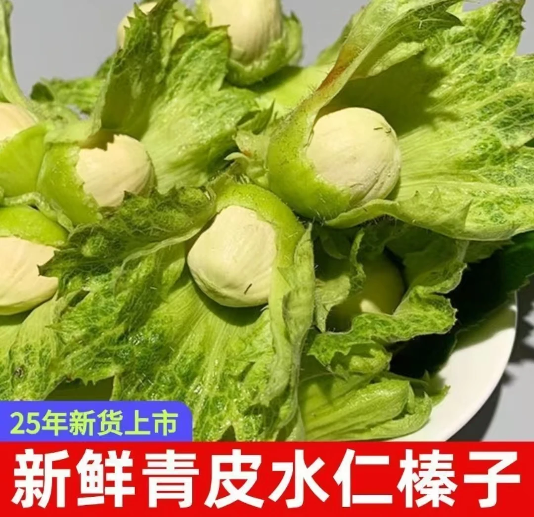 绿皮鲜果榛子 (新疆西藏不发货)