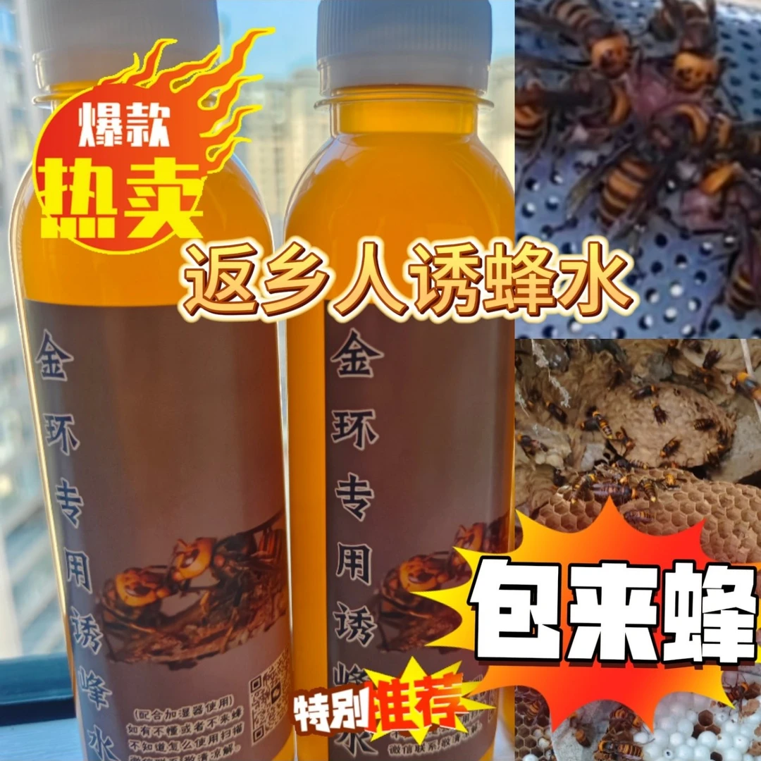 金环黑尾虎头蜂红娘诱蜂水来蜂快包来蜂返乡人同款大马蜂招蜂液
