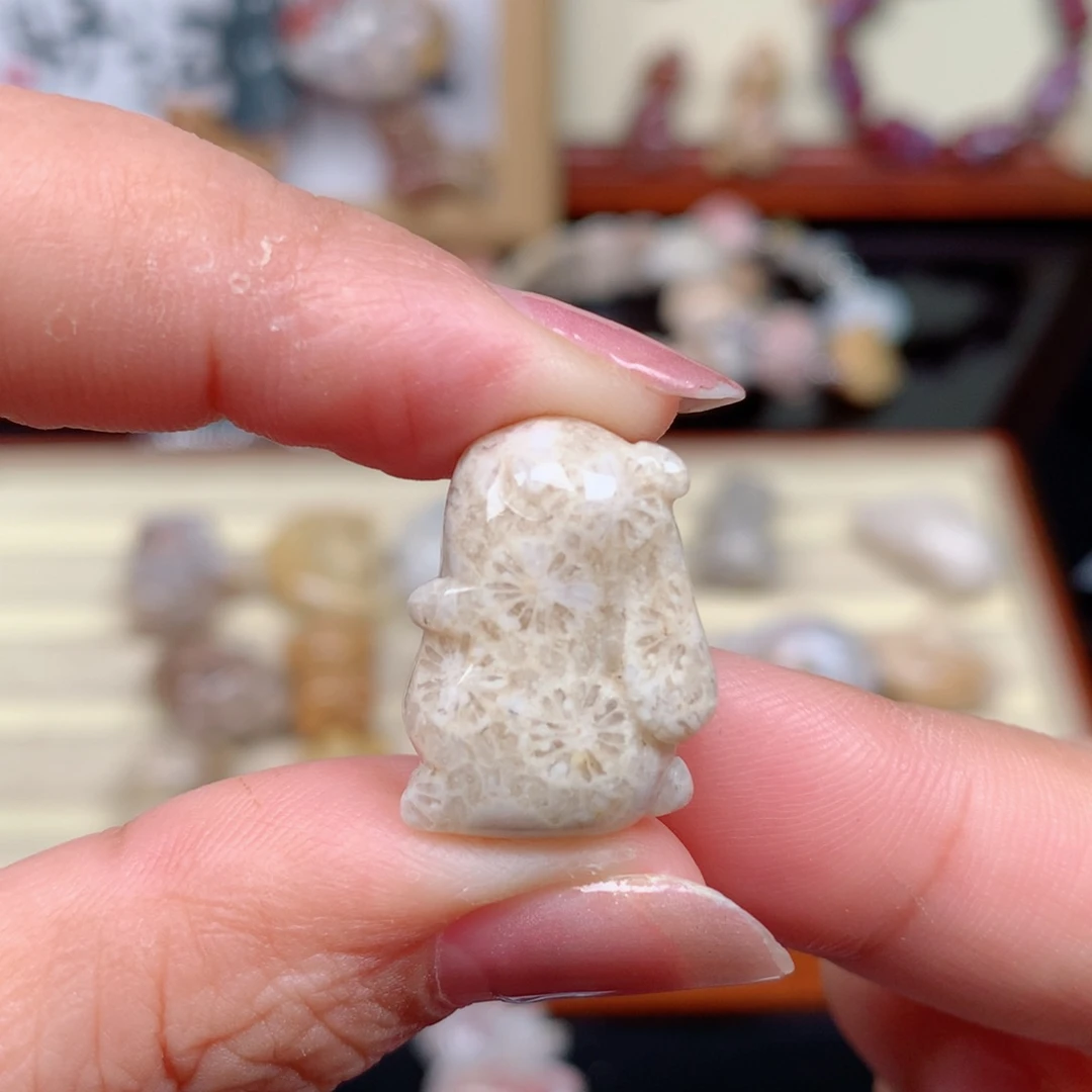 硅化玉珊瑚玉未镶嵌