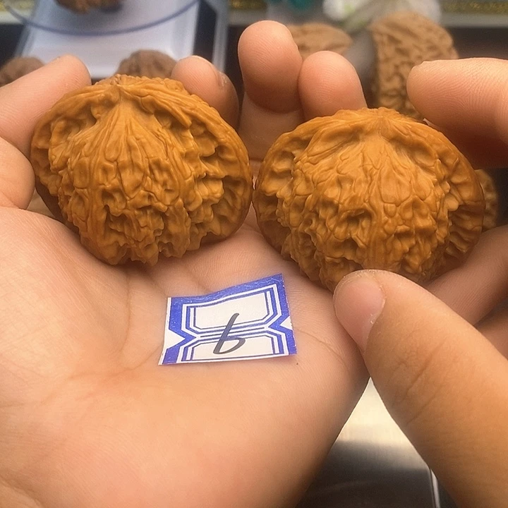 把件文玩核桃49白狮子