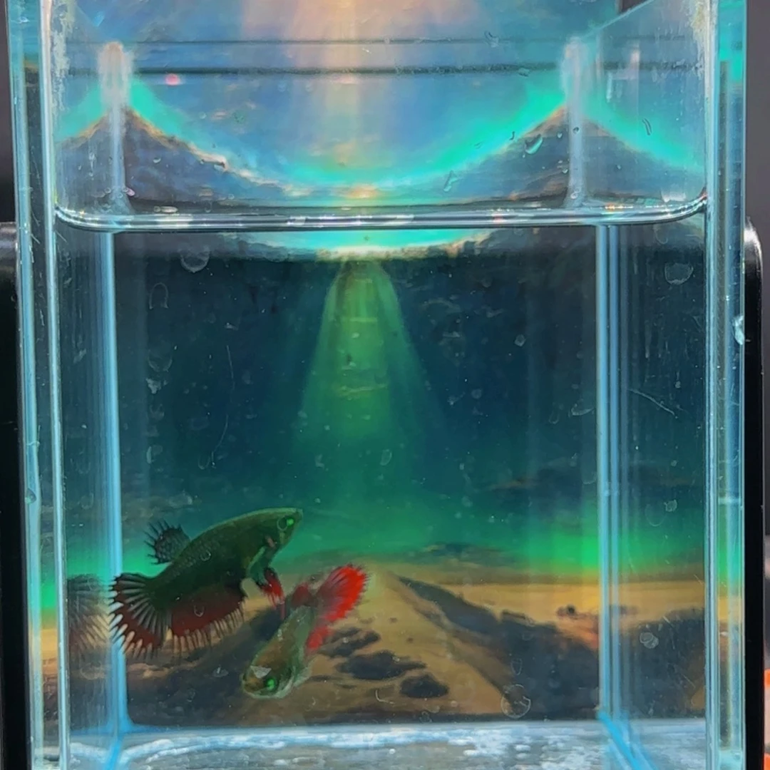 斗鱼所有朋友也有一个朋友也有