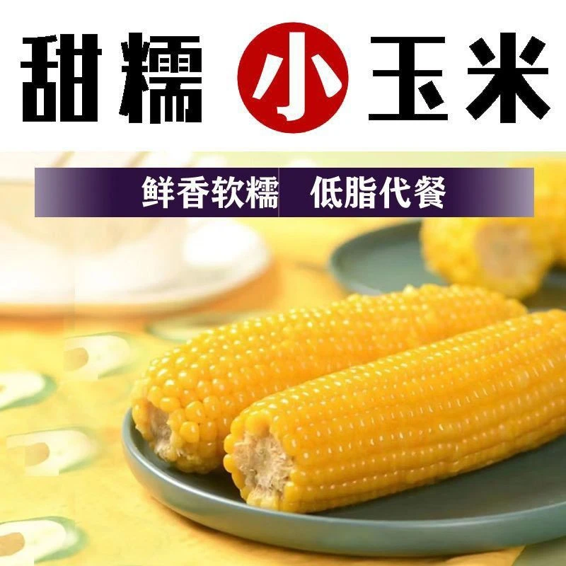 【香糯10支】东北甜糯玉米棒1.8KG粘玉米东北粘糯新鲜代餐粗粮玉米