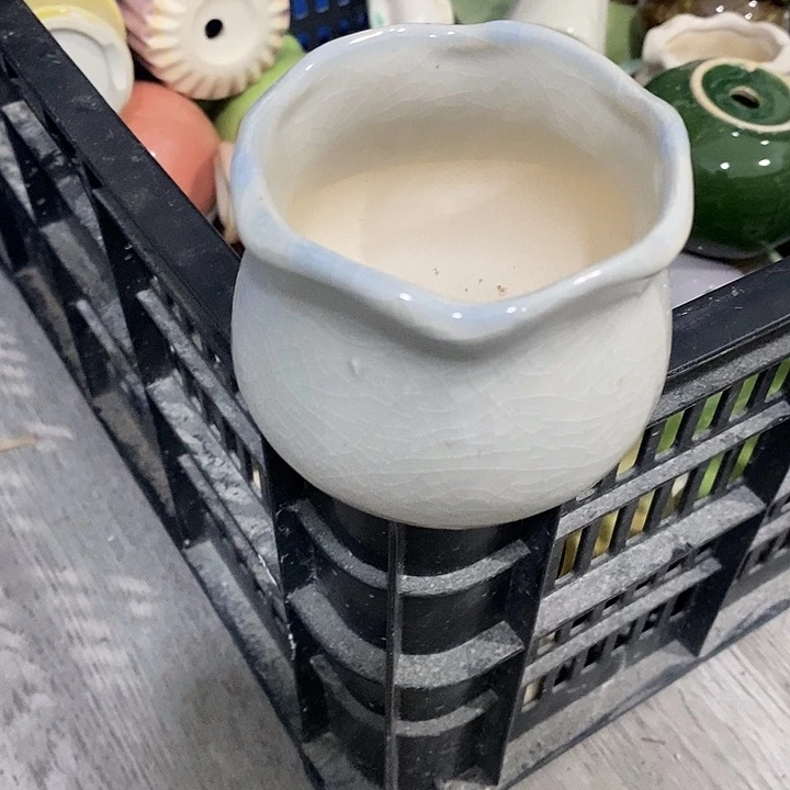 花盆抢购清货马上开始