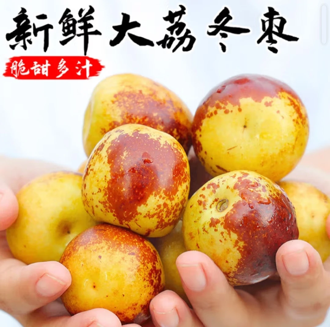 【顺丰包邮】正宗陕西大荔冬枣新鲜当季水果