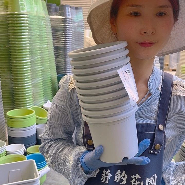 四季1#灰白色10个无托