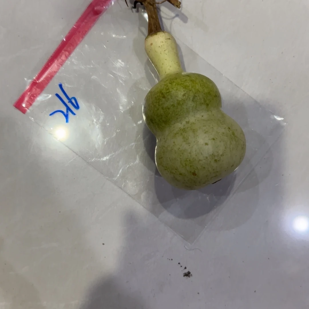 圆***满青皮不包成青皮不包成