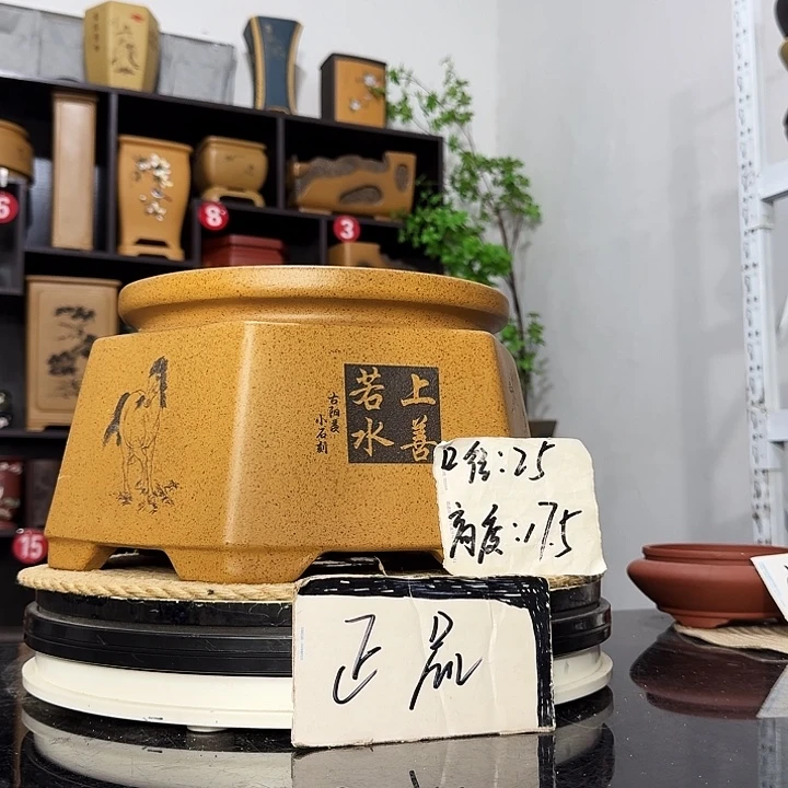 紫砂花盆盆友记紫砂花盆
