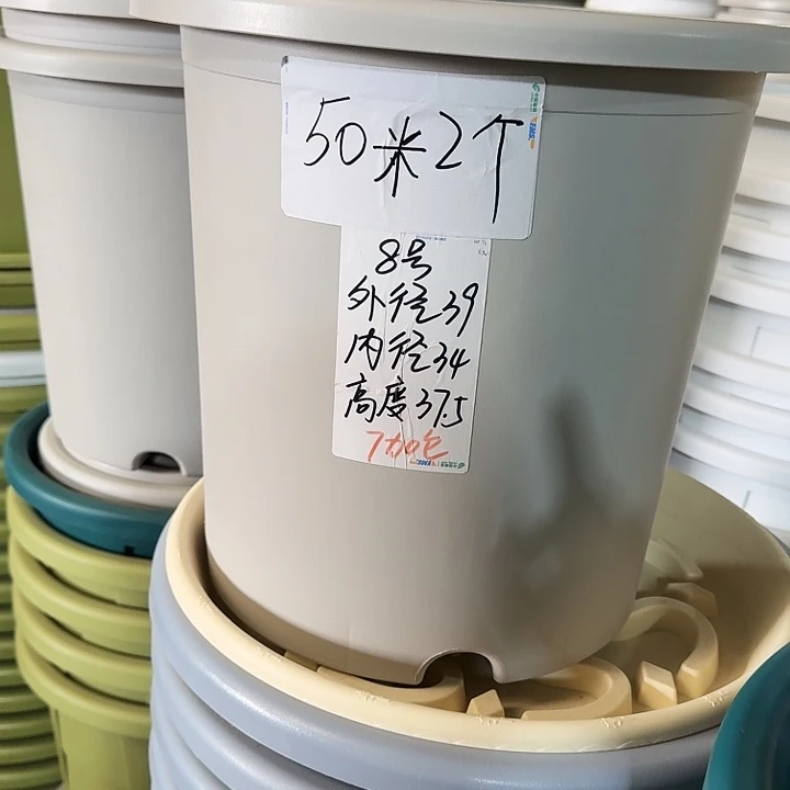 微瑕8#灰白12个带托