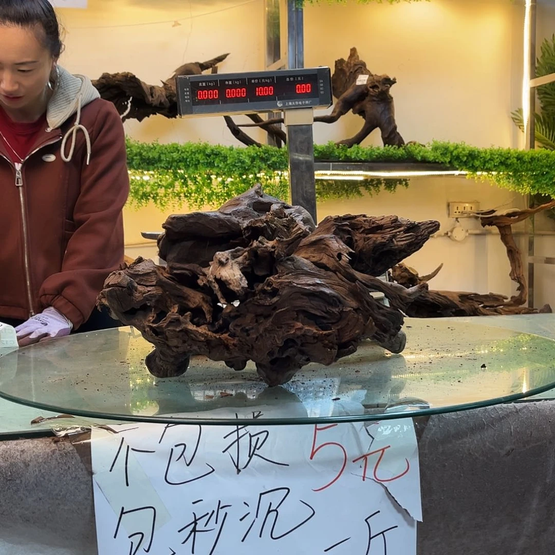 柚木云*沉木鱼缸造景