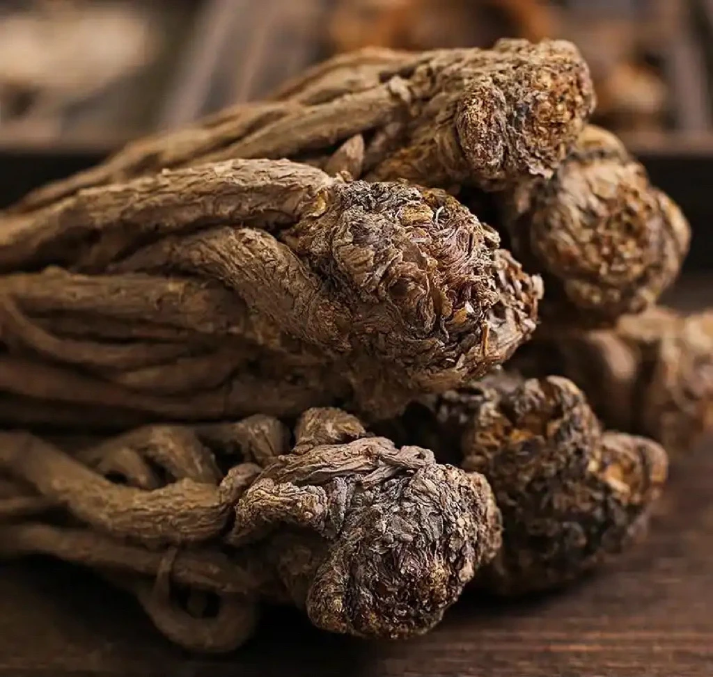 岷县当归原条大条《去须》无硫煲汤炖肉原产地直发