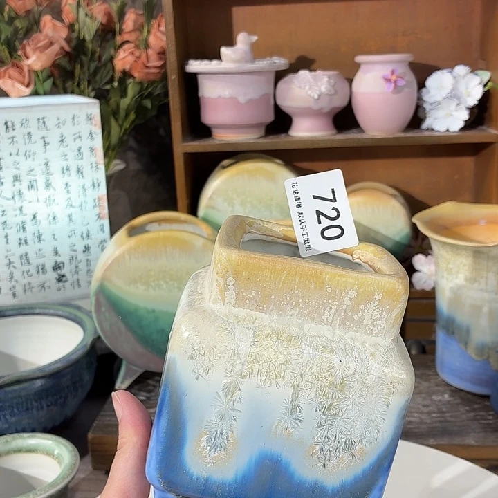 花盆花盆花盆花盆花盆