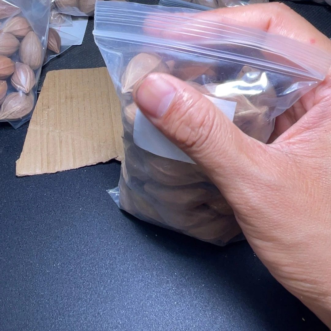 杰不退不换aadasd