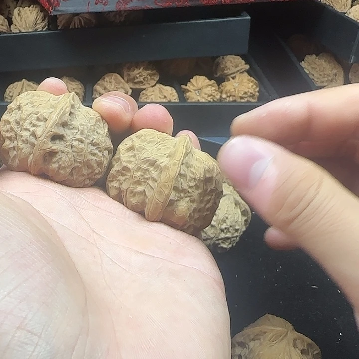 强***音吊坠龙脊菩提啊啊啊啊啊啊南瓜1