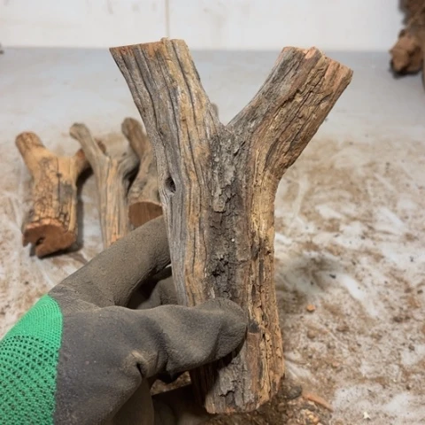 大果紫檀（缅甸花梨）夏*