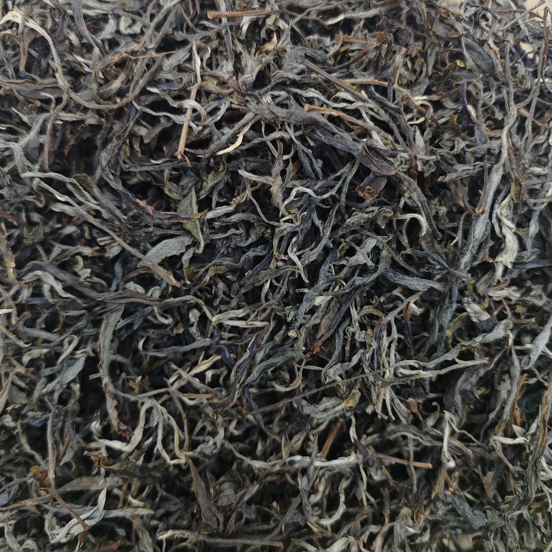 【茶农直供】2025年易武高山寨古树云南普洱茶 生茶  散茶