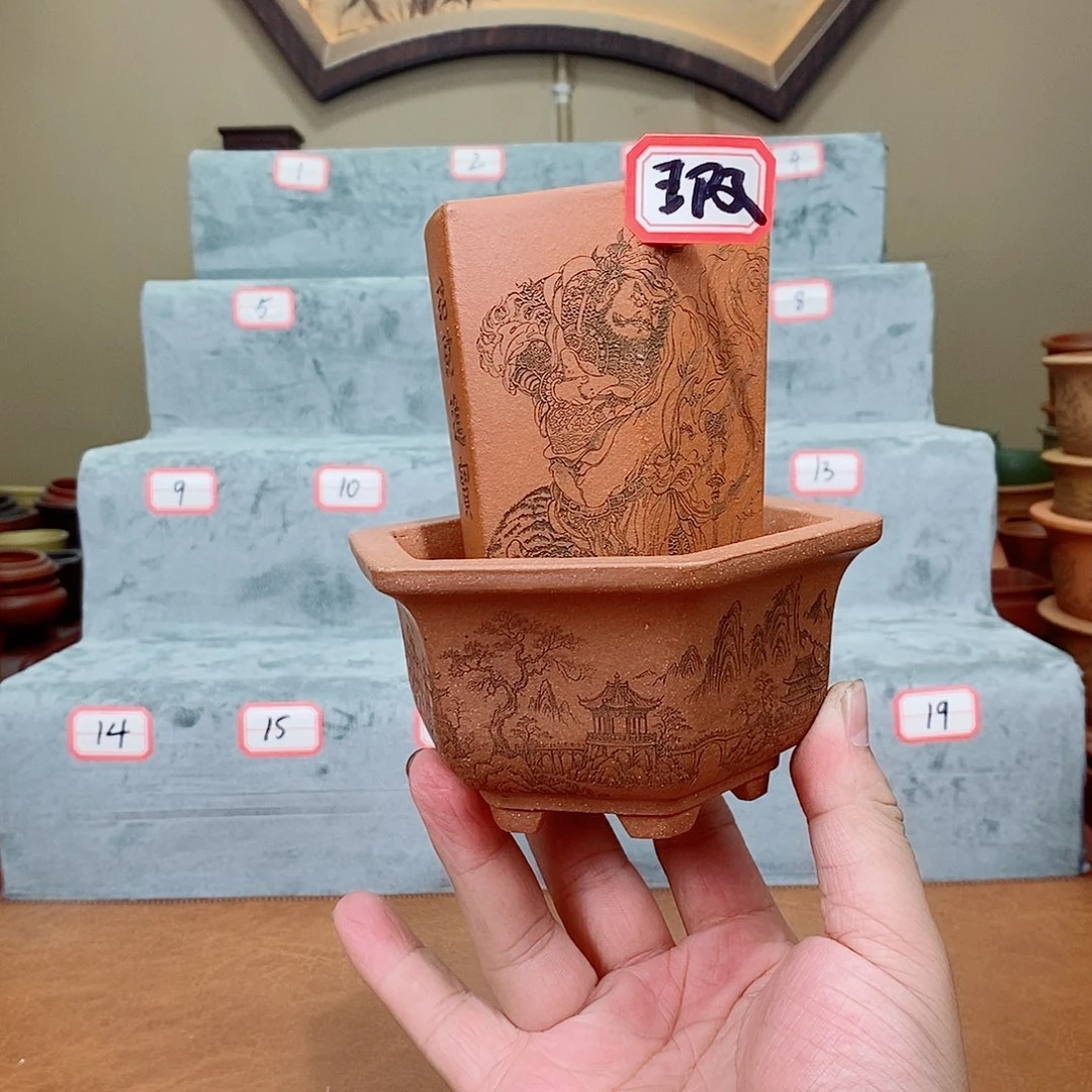 紫砂花盆我在看你