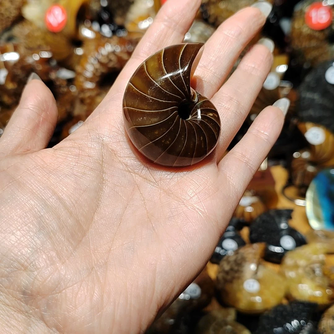 丰****记玉海螺化石手把件吊坠