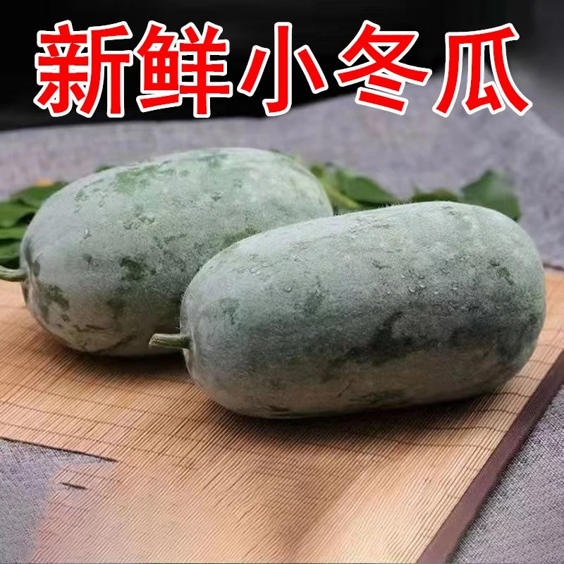 【小冬瓜】新鲜小冬瓜迷你小冬瓜毛冬瓜农家自种新鲜蔬菜