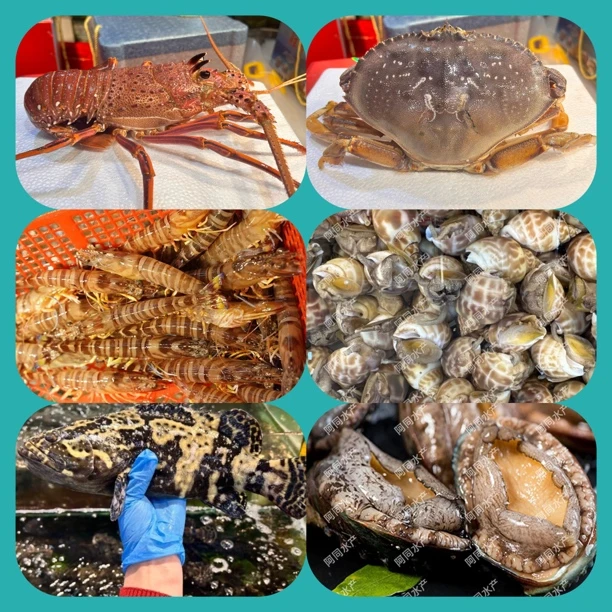 鸿禧云集龙虾珍宝蟹九节虾礼盒套餐