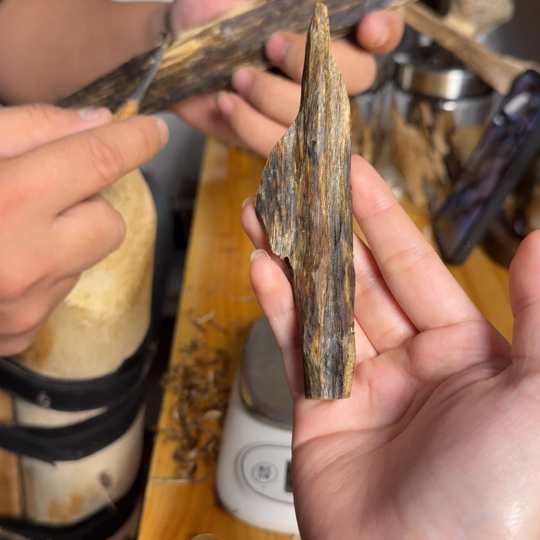 沉香白奇虫漏香11克
