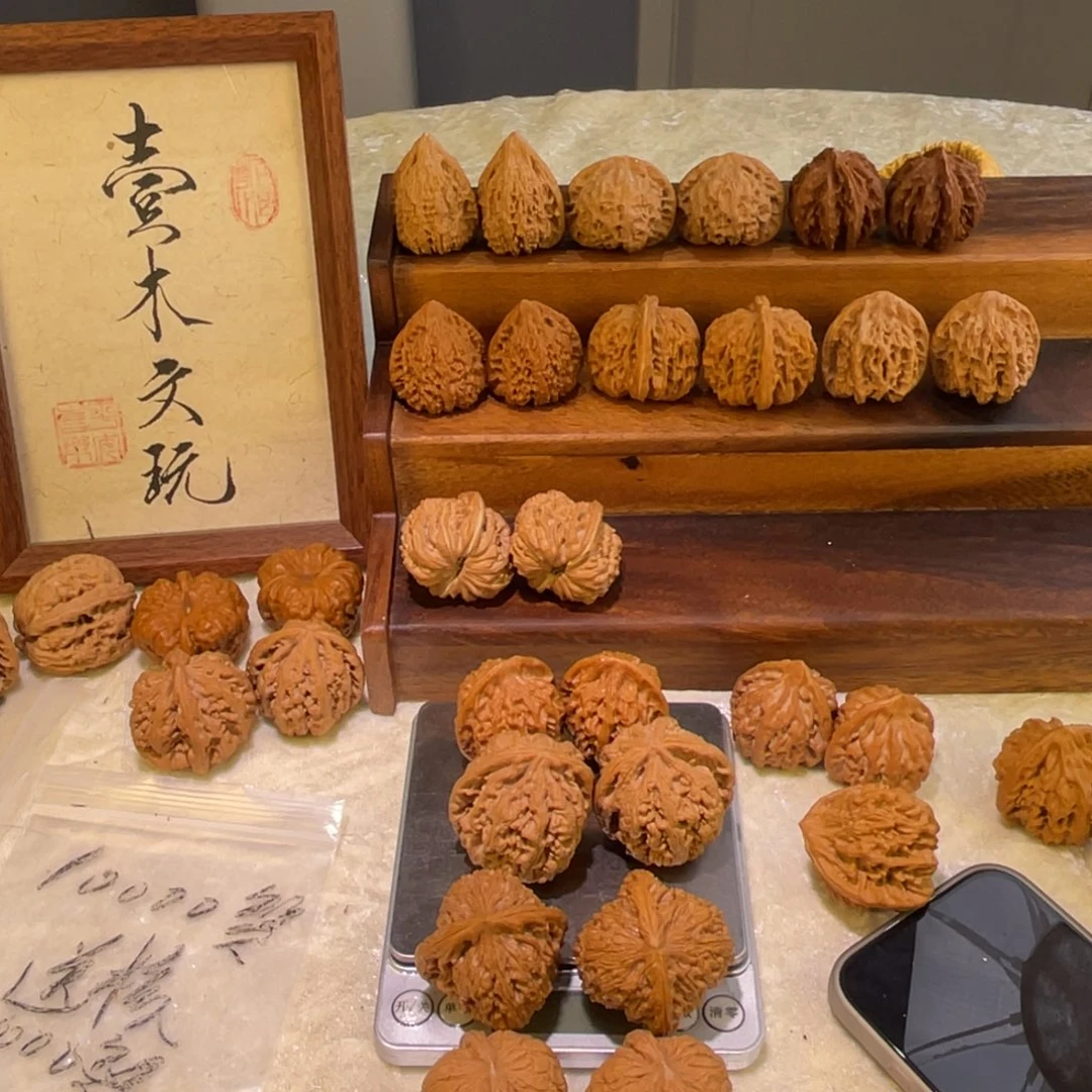 大叶紫檀（黑酸枝木类）