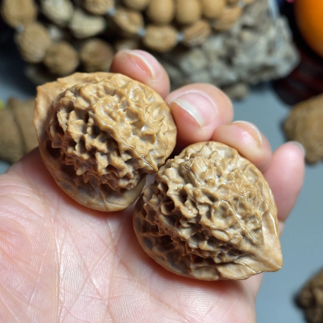 核桃手串/手链精品珊瑚塔32加