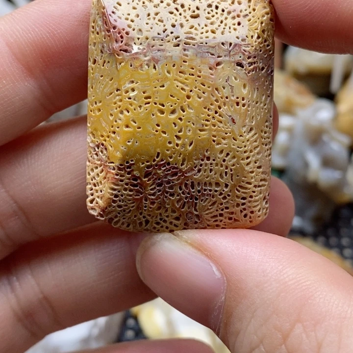 硅化珊瑚（珊瑚玉）颈饰未镶嵌