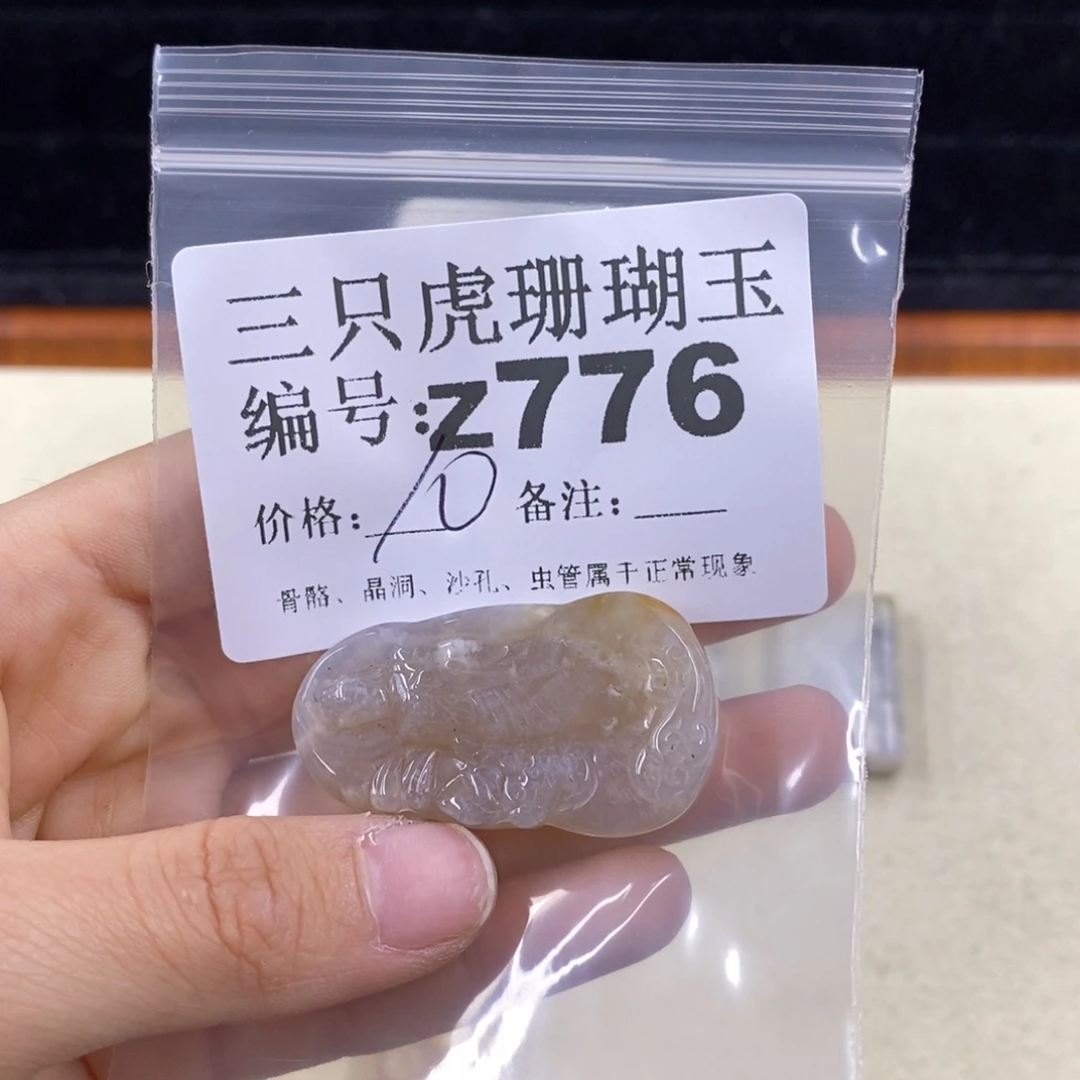 硅化珊瑚（珊瑚玉）1未镶嵌飞*