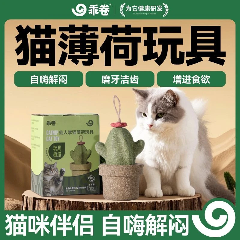 乖卷宠物玩具猫薄荷仙人掌逗猫玩具猫咪自嗨解闷磨牙洁齿小猫用品